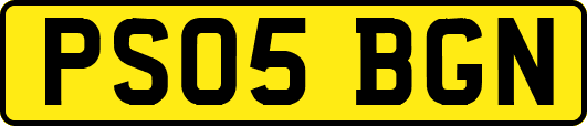 PS05BGN