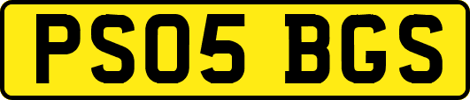 PS05BGS