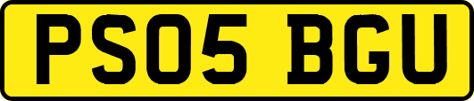 PS05BGU