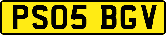 PS05BGV