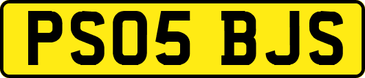 PS05BJS