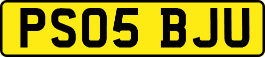 PS05BJU