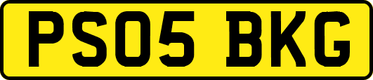 PS05BKG