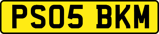 PS05BKM
