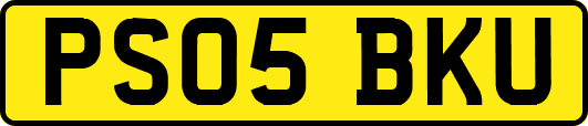 PS05BKU