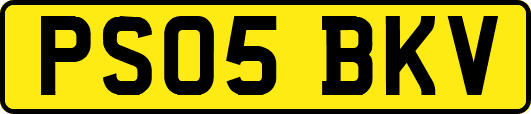 PS05BKV