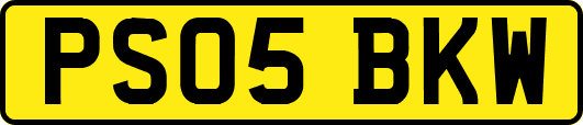 PS05BKW