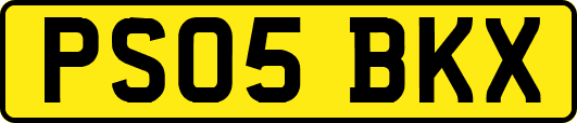 PS05BKX