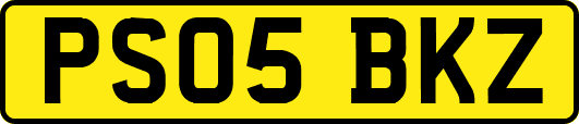 PS05BKZ