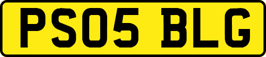 PS05BLG