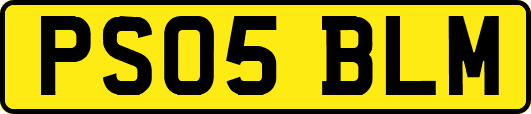 PS05BLM
