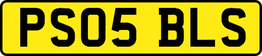 PS05BLS