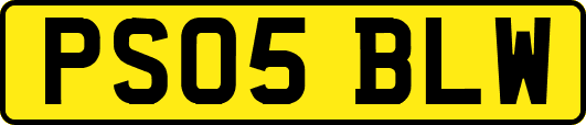 PS05BLW