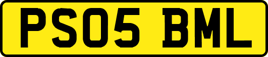 PS05BML