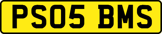 PS05BMS