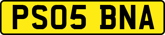 PS05BNA