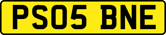 PS05BNE