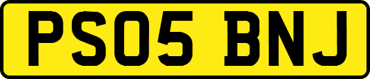 PS05BNJ