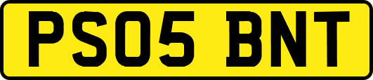 PS05BNT