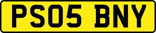 PS05BNY
