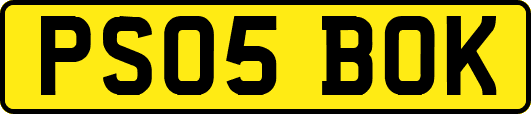 PS05BOK