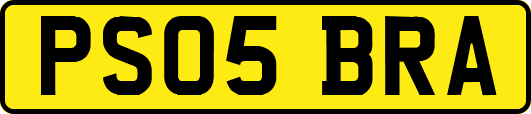 PS05BRA