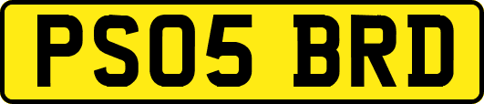 PS05BRD