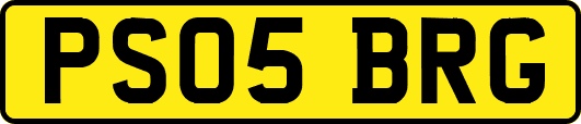 PS05BRG