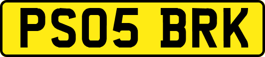 PS05BRK