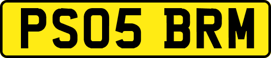 PS05BRM
