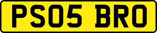 PS05BRO
