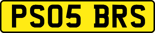PS05BRS