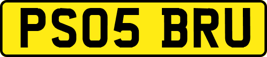 PS05BRU
