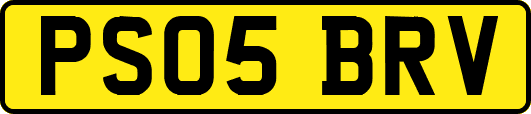 PS05BRV