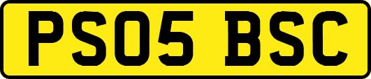 PS05BSC