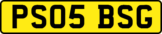 PS05BSG