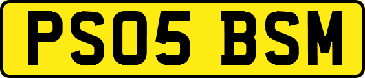 PS05BSM