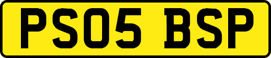 PS05BSP