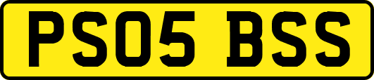 PS05BSS