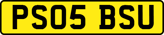 PS05BSU
