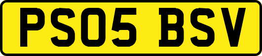 PS05BSV