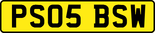 PS05BSW