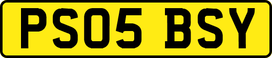 PS05BSY