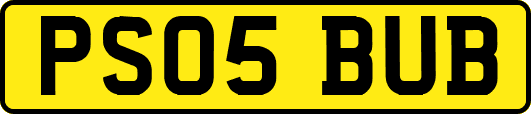 PS05BUB