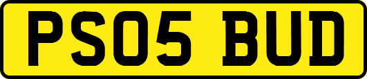 PS05BUD
