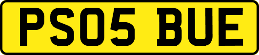 PS05BUE