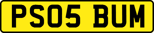 PS05BUM