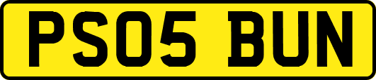 PS05BUN