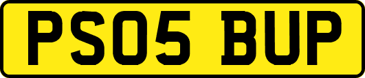 PS05BUP