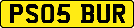 PS05BUR